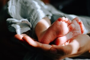 Медики назвали количество рожденных по ЭКО детей во Владимирской области