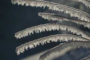 Прогноз погоды во Владимирской области на 5 февраля