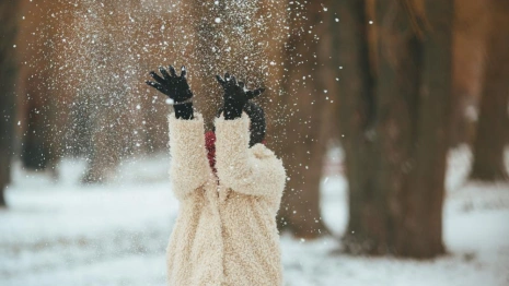 Прогноз погоды во Владимире и области на 29 декабря 2025 года