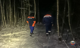 В Камешковском районе 76-летний рыбак заблудился в лесу