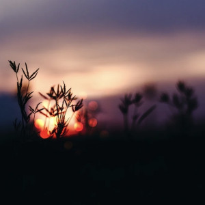 День осеннего равноденствия: что можно и нельзя делать 22 сентября