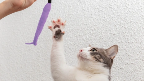 Народные приметы на 10 февраля: что можно и нельзя делать в Ефремов день