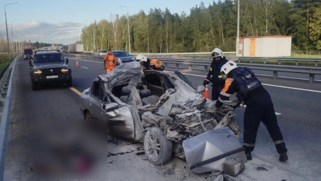 На М-12 во Владимирской области столкнулись легковушка и фура