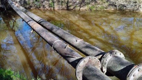 Нечистоты из речки под Петушками дотекли до Владимира