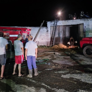В селе под Ковровом ночью тушили ферму
