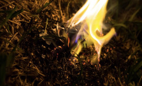 Во Владимирской области с 15 апреля начнется пожароопасный сезон