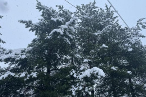 Прогноз погоды во Владимире и области на 17 ноября 2025 года