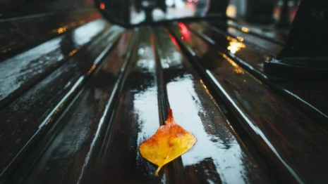 Синоптики дали прогноз на первый понедельник октября во Владимирской области 