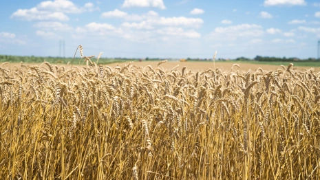 Еремей Запашник: что можно и нельзя делать 14 мая