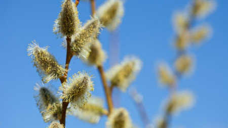 Прогноз погоды во Владимире и области на 25 апреля 2026 года