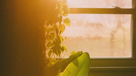 Во Владимирской области пропавшего 6 месяцев назад сельчанина нашли живым