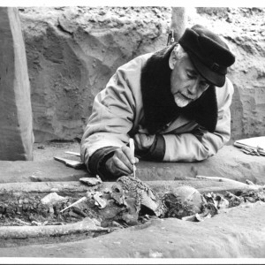 Во владимирских Палатах покажут самое длинное копье Сунгиря