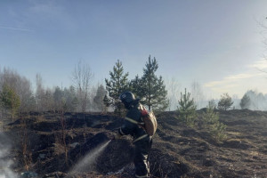 Во Владимирской области 7 мая отменили особый противопожарный режим