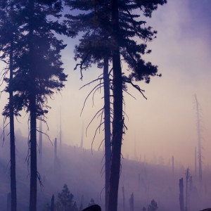 Во Владимирской области спрогнозировали ухудшение ситуации по лесным пожарам в 7 районах