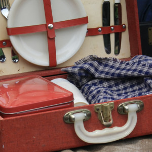 Жителям Владимирской области рассказали, что положить в «тревожный чемоданчик»