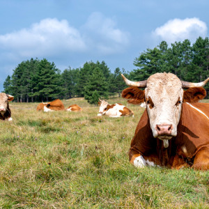 Юрий Вешний: что можно и нельзя делать 6 мая