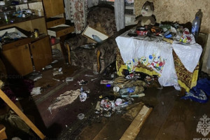 В Кольчугино на пожаре пострадал один человек