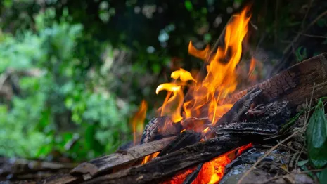 Во Владимирской области за сезон потушили 47 лесных пожаров