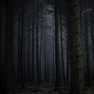 Пропавшую в июле 83-летнюю бабушку из Мурома нашли мертвой