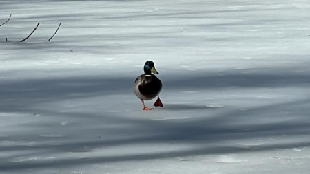 Синоптики пообещали морозы в начале марта во Владимирской области