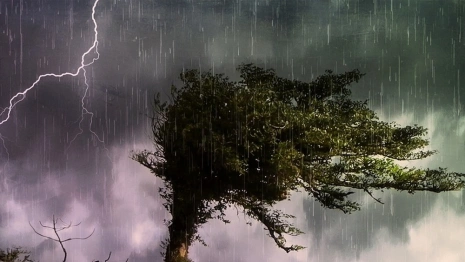 Буря надвигается на Владимирскую область