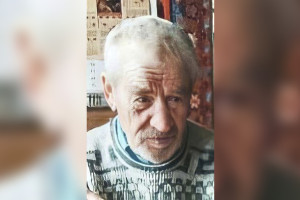 Во Владимирской области в начале октября в лесу пропал 83-летний дедушка