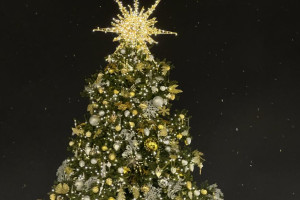 Во Владимире на установку новогодней ели у Белого дома потратят миллион рублей