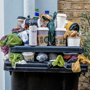 Александр Авдеев высказался о ситуации с мусором в Коврове