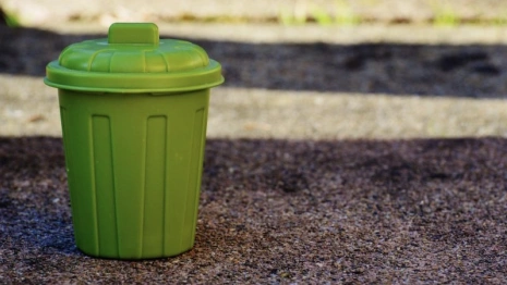 Жителей поселка во Владимирской области оставили без мусорных баков