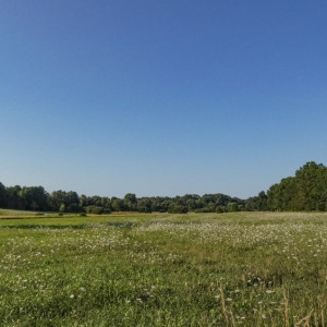 Во Владимирской области многодетные добились подведения коммуникаций к участкам