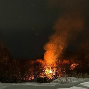 Пожар охватил дачи на окраине Владимира