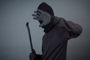 Эксперты назвали место Владимирской области по уровню преступности