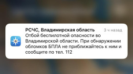 Владимирцам запретили приближаться к обломкам БПЛА после угрозы атаки 27-28 декабря