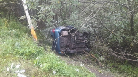 В Ковровском районе иномарка влетела в дерево: пострадала женщина