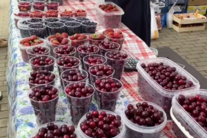 Во Владимире традиционный «Вишневый Спас» пройдет 14 июля