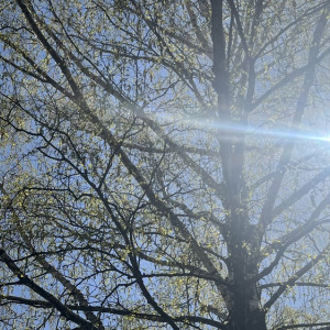 Прогноз погоды во Владимирской области на 22 апреля