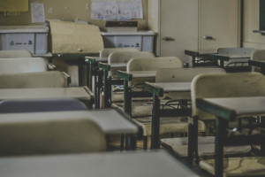 Что известно об объединении школ и детсадов во Владимире