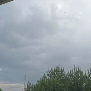 Во Владимирской области прошел дождь и гром