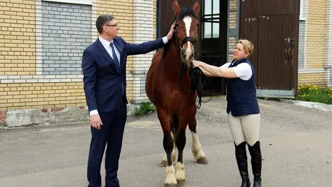 Стало известно, зачем владимирский губернатор подарил коня президенту Беларуси