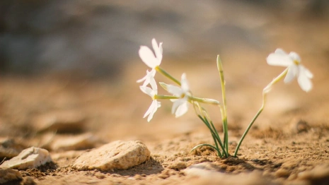 Прогноз погоды на 29 марта 2024 года во Владимире и области