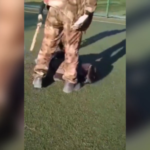 Во Владимирской области будут судить отца, заставившего сына избить подростка битой