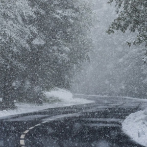 Синоптик рассказал, каким будет декабрь во Владимирской области