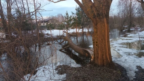 Во Владимирской области объявили красный уровень опасности из-за половодья