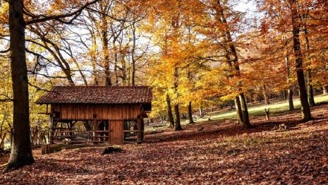Воздух с Атлантики принесет во Владимирскую область потепление до +18