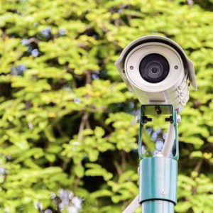 На дорогах Владимирской области установят 15 видеокамер