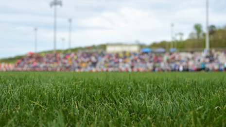 Проект реконструкции стадиона «Торпедо» во Владимире оценили в 7,5 млн рублей 