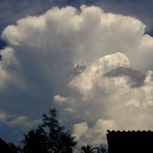 Во Владимирской области зафиксировали обратный ход температур
