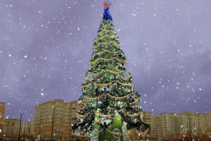 Старую новогоднюю ель с Соборной площади во Владимире перенесут в Юрьевец