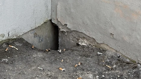 Во Владимире жильцов ветхих домов переселяли в квартиры с плесенью и вонью