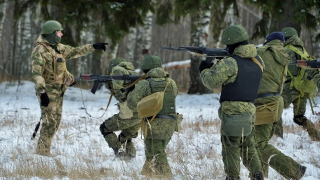 Депутат Госдумы попросил губернатора Владимирской области вернуть мобилизованного домой
